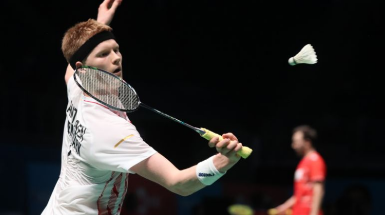 作为德甲的 作为德甲的