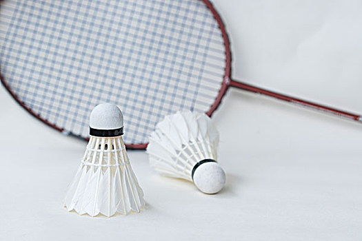 成一位全能 成一位全能