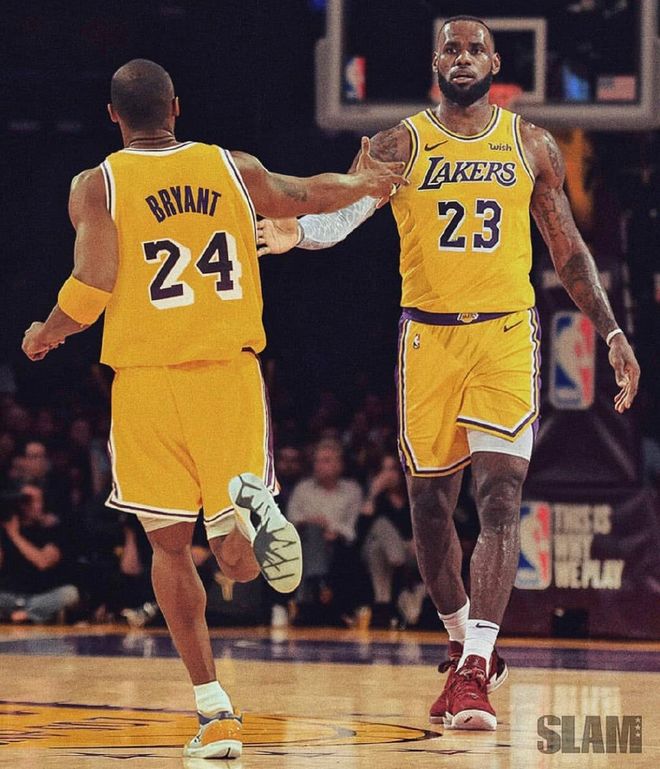 东区竞争白 东区竞争白